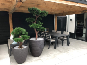 kunstplanten in je tuin